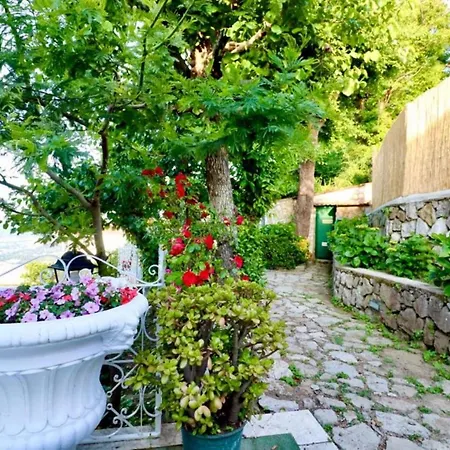 Frühstückspension Il Belvedere 3*