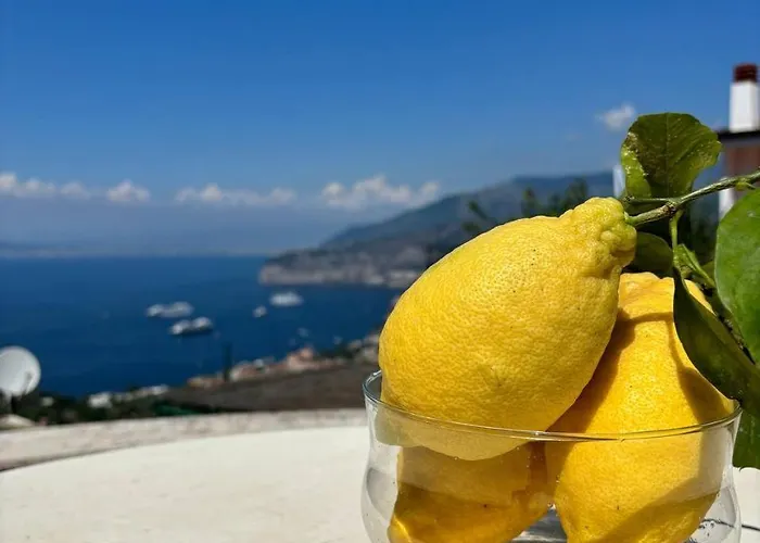 לינה וארוחת בוקר Il Belvedere סורנטו